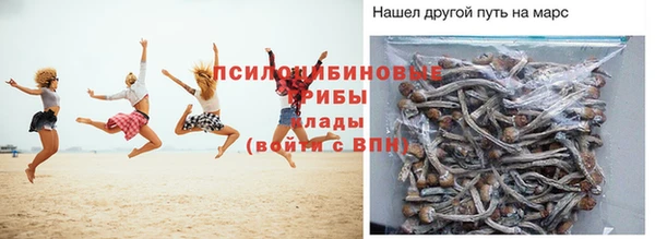прущие крисы Алексеевка