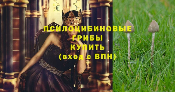 а пвп мука Алексин