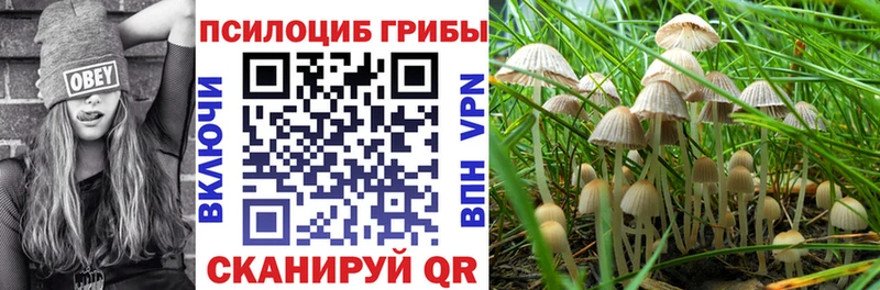 Галлюциногенные грибы Magic Shrooms  Бикин 